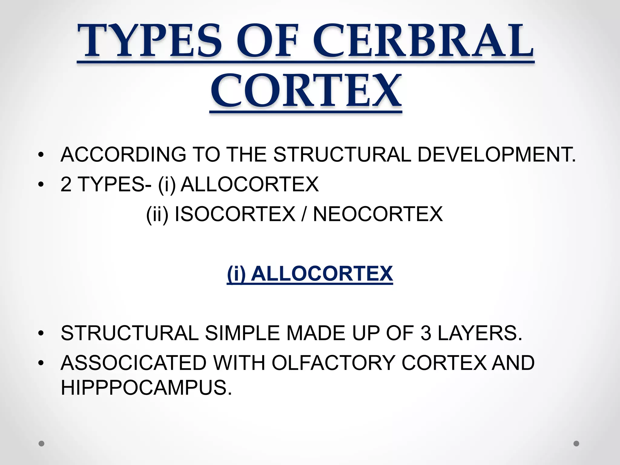 TYPES OF CERBRAL
CORTEX
• ACCORDING TO THE STRUCTURAL DEVELOPMENT.
• 2 TYPES- (i) ALLOCORTEX
(ii) ISOCORTEX / NEOCORTEX
(i) ALLOCORTEX
• STRUCTURAL SIMPLE MADE UP OF 3 LAYERS.
• ASSOCICATED WITH OLFACTORY CORTEX AND
HIPPPOCAMPUS.
 