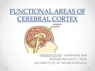 Functional areas of the brain | PPTX