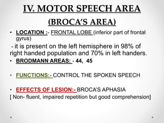 IV. MOTOR SPEECH AREA
(BROCA’S AREA)
• LOCATION :- FRONTAL LOBE (inferior part of frontal
gyrus)
- it is present on the left hemisphere in 98% of
right handed population and 70% in left handers.
• BRODMANN AREAS: - 44, 45
• FUNCTIONS:- CONTROL THE SPOKEN SPEECH
• EFFECTS OF LESION:- BROCA’S APHASIA
[ Non- fluent, impaired repetition but good comprehension]
 