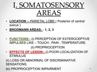 I. SOMATOSENSORY
AREAS
• LOCATION :- PARIETAL LOBE ( Posterior of central
sulcus )
• BRODMANN AREAS: - 1, 2, 3
• FUNCTIONS:- (i) PERCEPTION OF EXTEROCEPTIVE
IMPULSES LIKE – TOUCH , PAIN , TEMPERATURE.
(ii) PROPRIOCEPTION
• EFFECTS OF LESION:- (i) POOR LOCALIZATION OF
STIMULUS
(ii) LOSS OR ABNORMAL OF DISCRIMINATIVE
SENSATIONS.
(iii) PROPRIOCEPTION IMPAIRMENT
 