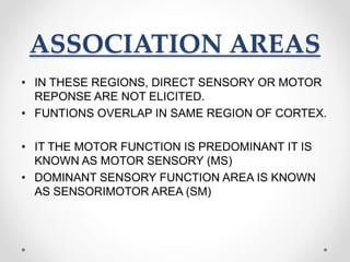 ASSOCIATION AREAS
• IN THESE REGIONS, DIRECT SENSORY OR MOTOR
REPONSE ARE NOT ELICITED.
• FUNTIONS OVERLAP IN SAME REGION OF CORTEX.
• IT THE MOTOR FUNCTION IS PREDOMINANT IT IS
KNOWN AS MOTOR SENSORY (MS)
• DOMINANT SENSORY FUNCTION AREA IS KNOWN
AS SENSORIMOTOR AREA (SM)
 
