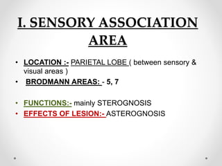 I. SENSORY ASSOCIATION
AREA
• LOCATION :- PARIETAL LOBE ( between sensory &
visual areas )
• BRODMANN AREAS: - 5, 7
• FUNCTIONS:- mainly STEROGNOSIS
• EFFECTS OF LESION:- ASTEROGNOSIS
 