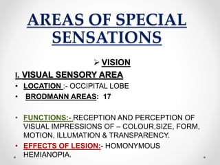 AREAS OF SPECIAL
SENSATIONS
 VISION
I. VISUAL SENSORY AREA
• LOCATION :- OCCIPITAL LOBE
• BRODMANN AREAS: 17
• FUNCTIONS:- RECEPTION AND PERCEPTION OF
VISUAL IMPRESSIONS OF – COLOUR,SIZE, FORM,
MOTION, ILLUMATION & TRANSPARENCY.
• EFFECTS OF LESION:- HOMONYMOUS
HEMIANOPIA.
 