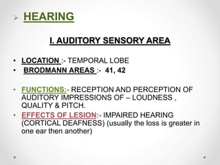  HEARING
I. AUDITORY SENSORY AREA
• LOCATION :- TEMPORAL LOBE
• BRODMANN AREAS :- 41, 42
• FUNCTIONS:- RECEPTION AND PERCEPTION OF
AUDITORY IMPRESSIONS OF – LOUDNESS ,
QUALITY & PITCH.
• EFFECTS OF LESION:- IMPAIRED HEARING
(CORTICAL DEAFNESS) (usually the loss is greater in
one ear then another)
 