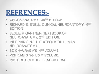 REFRENCES:-
• GRAY’S ANATOMY , 38TH EDITION
• RICHARD S. SNELL, CLINICAL NEUROANTOMY , 6TH
EDITION
• LESLIE P. GARTNER, TEXTBOOK OF
NEUROANATOMY, 2ND EDITION.
• INDERBIR SINGH, TEXTBOOK OF HUMAN
NEUROANATOMY.
• BD CHAURASIA’S 4TH VOLUME.
• VISHRAM SINGH, 3RD VOLUME.
• PICTURE CREDITS:- KENHUB.COM
 