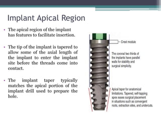 Functional basis of dental implants