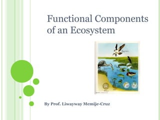 Functional Components
of an Ecosystem
By Prof. Liwayway Memije-Cruz
 