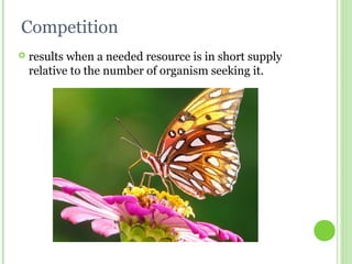 Competition
 results when a needed resource is in short supply
relative to the number of organism seeking it.
 