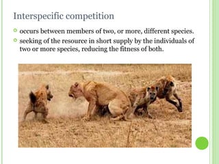 Interspecific competition
 occurs between members of two, or more, different species.
 seeking of the resource in short supply by the individuals of
two or more species, reducing the fitness of both.
 