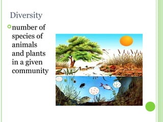 Diversity
number of
species of
animals
and plants
in a given
community
 