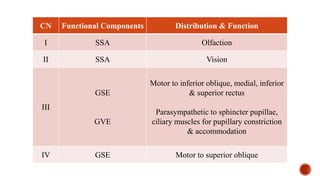 CN Functional Components Distribution & Function
I SSA Olfaction
II SSA Vision
III
GSE
GVE
Motor to inferior oblique, medial, inferior
& superior rectus
Parasympathetic to sphincter pupillae,
ciliary muscles for pupillary constriction
& accommodation
IV GSE Motor to superior oblique
 