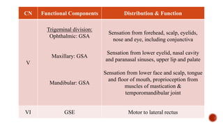 CN Functional Components Distribution & Function
V
Trigeminal division:
Ophthalmic: GSA
Maxillary: GSA
Mandibular: GSA
Sensation from forehead, scalp, eyelids,
nose and eye, including conjunctiva
Sensation from lower eyelid, nasal cavity
and paranasal sinuses, upper lip and palate
Sensation from lower face and scalp, tongue
and floor of mouth, proprioception from
muscles of mastication &
temporomandibular joint
VI GSE Motor to lateral rectus
 