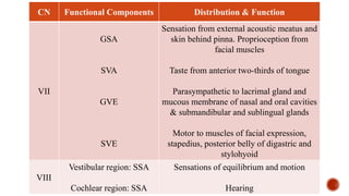CN Functional Components Distribution & Function
VII
GSA
SVA
GVE
SVE
Sensation from external acoustic meatus and
skin behind pinna. Proprioception from
facial muscles
Taste from anterior two-thirds of tongue
Parasympathetic to lacrimal gland and
mucous membrane of nasal and oral cavities
& submandibular and sublingual glands
Motor to muscles of facial expression,
stapedius, posterior belly of digastric and
stylohyoid
VIII
Vestibular region: SSA
Cochlear region: SSA
Sensations of equilibrium and motion
Hearing
 