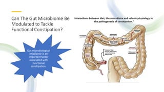 Can The Gut Microbiome Be
Modulated to Tackle
Functional Constipation?
Gut microbiological
imbalance is an
important factor
associated with
functional
constipation.
 