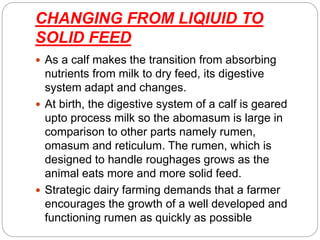 Functional development of rumen | PPTX