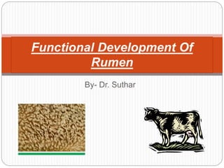 By- Dr. Suthar
Functional Development Of
Rumen
 
