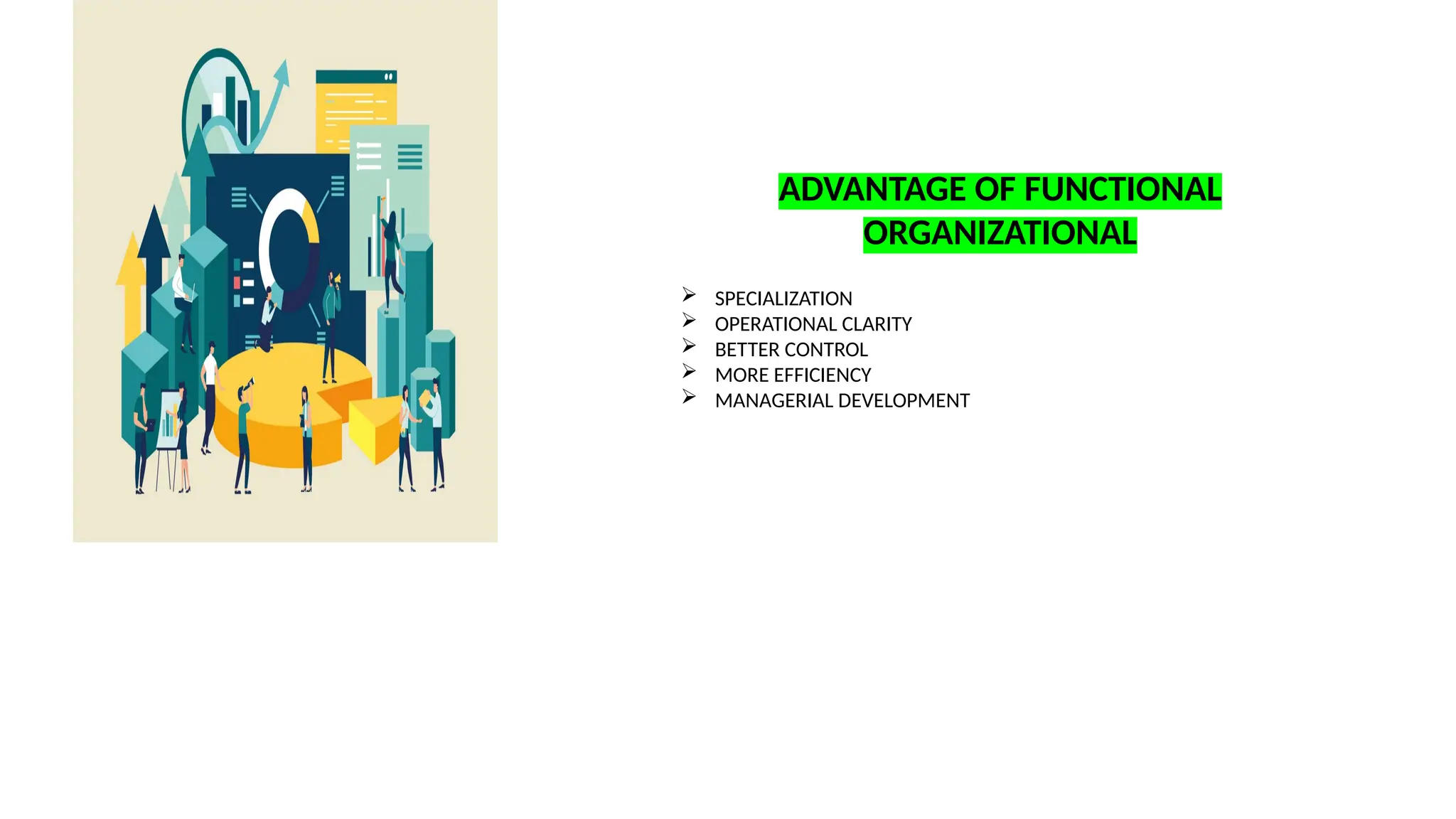 ADVANTAGE OF FUNCTIONAL
ORGANIZATIONAL
 SPECIALIZATION
 OPERATIONAL CLARITY
 BETTER CONTROL
 MORE EFFICIENCY
 MANAGERIAL DEVELOPMENT
 