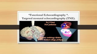 “Functional Echocardiography “.
Targeted neonatal echocardiography (TNE).
 
