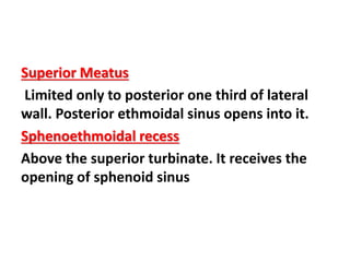 Superior Meatus
Limited only to posterior one third of lateral
wall. Posterior ethmoidal sinus opens into it.
Sphenoethmoidal recess
Above the superior turbinate. It receives the
opening of sphenoid sinus
 