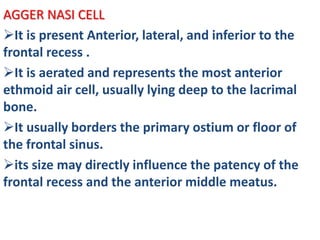 AGGER NASI CELL
It is present Anterior, lateral, and inferior to the
frontal recess .
It is aerated and represents the most anterior
ethmoid air cell, usually lying deep to the lacrimal
bone.
It usually borders the primary ostium or floor of
the frontal sinus.
its size may directly influence the patency of the
frontal recess and the anterior middle meatus.
 