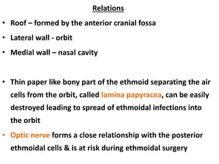 Relations
• Roof – formed by the anterior cranial fossa
• Lateral wall - orbit
• Medial wall – nasal cavity
• Thin paper like bony part of the ethmoid separating the air
cells from the orbit, called lamina papyracea, can be easily
destroyed leading to spread of ethmoidal infections into
the orbit
• Optic nerve forms a close relationship with the posterior
ethmoidal cells & is at risk during ethmoidal surgery
 