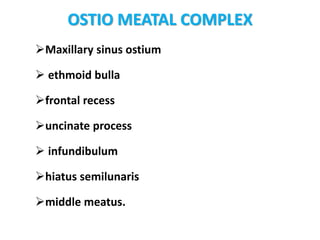 OSTIO MEATAL COMPLEX
Maxillary sinus ostium
 ethmoid bulla
frontal recess
uncinate process
 infundibulum
hiatus semilunaris
middle meatus.
 