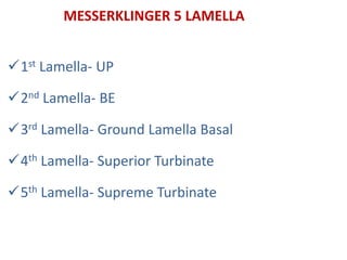 MESSERKLINGER 5 LAMELLA
1st Lamella- UP
2nd Lamella- BE
3rd Lamella- Ground Lamella Basal
4th Lamella- Superior Turbinate
5th Lamella- Supreme Turbinate
 