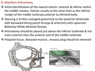 D. Maxillary Antrostomy
 Initial identification of the natural ostium- anterior & inferior within
the middle meatus. Ostium usually at the same level as the inferior
margin of the middle turbinate,anterior to ethmoid bulla
 Opening is further enlarged posteriorly to the posterior fontanelle
with backward-biting punch forceps & anteriorly with upturned
Blakesley-Wilde ethmoid forceps
 Antrostomy should be placed just above the inferior turbinate & not
more anterior than the anterior end of the middle turbinate
 Polypoid tissue, diseased mucosa , mucous plug should be removed
 
