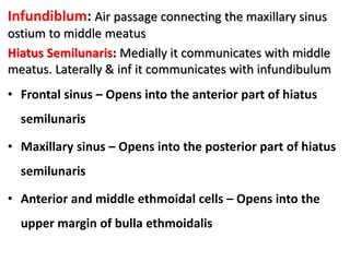 Infundiblum: Air passage connecting the maxillary sinus
ostium to middle meatus
Hiatus Semilunaris: Medially it communicates with middle
meatus. Laterally & inf it communicates with infundibulum
• Frontal sinus – Opens into the anterior part of hiatus
semilunaris
• Maxillary sinus – Opens into the posterior part of hiatus
semilunaris
• Anterior and middle ethmoidal cells – Opens into the
upper margin of bulla ethmoidalis
 