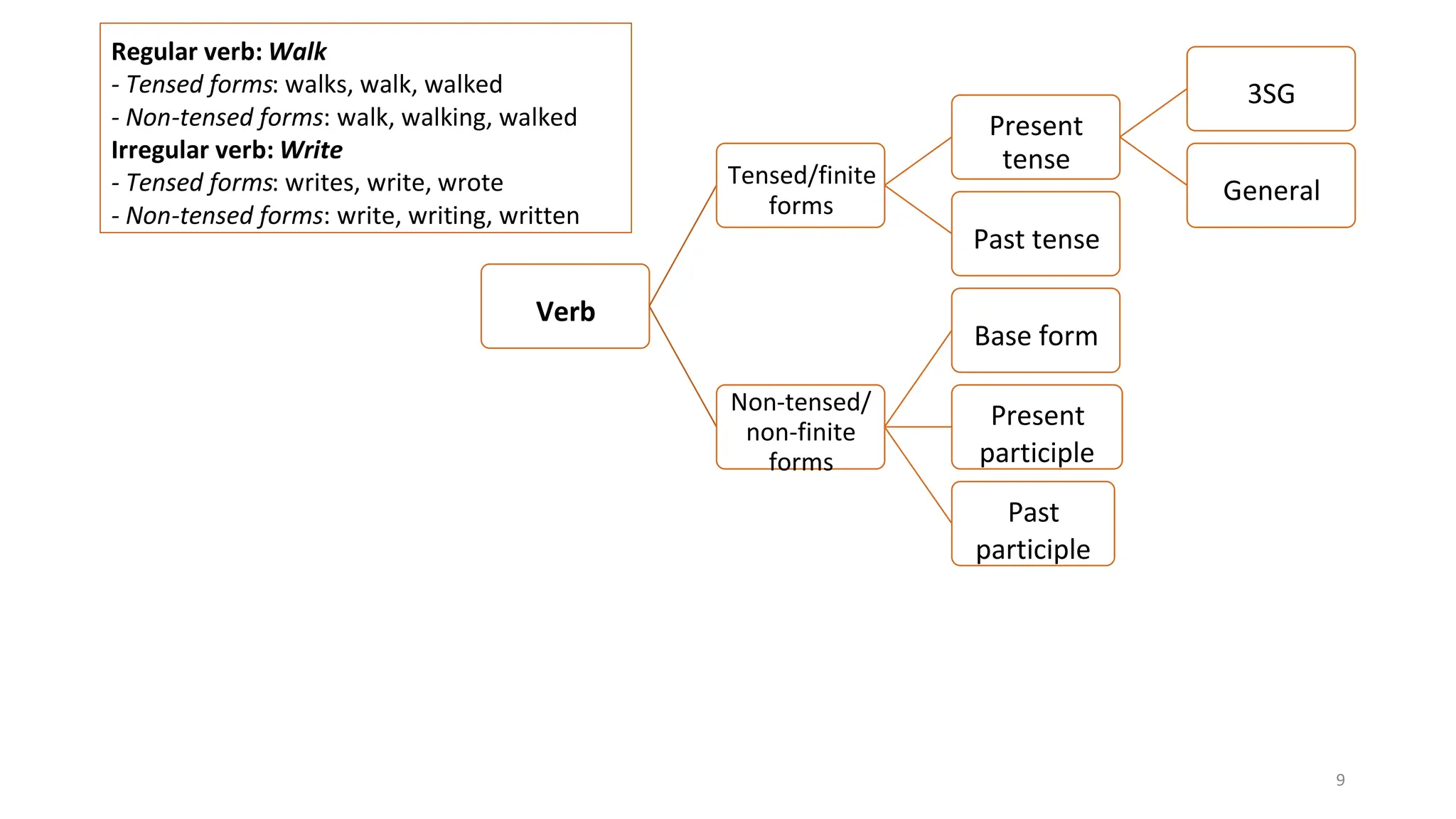 9
Verb
Tensed/finite
forms
Present
tense
SG
3
General
Past tense
Non-tensed/
non-finite
forms
Base form
Present
participle
Past
participle
Regular verb: Walk
- Tensed forms walks, walk, walked
:
- Non-tensed forms: walk, walking, walked
Irregular verb: Write
- Tensed forms writes, write, wrote
:
- Non-tensed forms write, writing, written
:
 