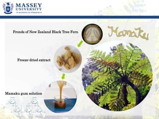 Ma
Fronds of New Zealand Black Tree Fern
Freeze-dried extract
Mamaku gum solution
 