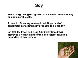 Functional foods | PPTX