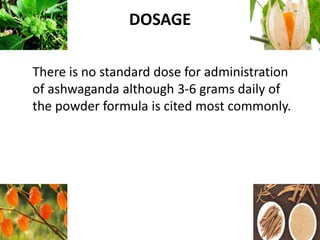 DOSAGE
There is no standard dose for administration
of ashwaganda although 3-6 grams daily of
the powder formula is cited most commonly.
 