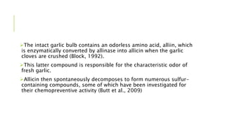 The intact garlic bulb contains an odorless amino acid, alliin, which
is enzymatically converted by allinase into allicin when the garlic
cloves are crushed (Block, 1992).
This latter compound is responsible for the characteristic odor of
fresh garlic.
Allicin then spontaneously decomposes to form numerous sulfur-
containing compounds, some of which have been investigated for
their chemopreventive activity (Butt et al., 2009)
 