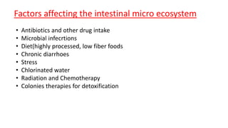 Factors affecting the intestinal micro ecosystem
• Antibiotics and other drug intake
• Microbial infecrtions
• Diet(highly processed, low fiber foods
• Chronic diarrhoes
• Stress
• Chlorinated water
• Radiation and Chemotherapy
• Colonies therapies for detoxification
 