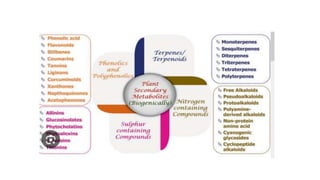 Functional foods - iii cnd.pptx