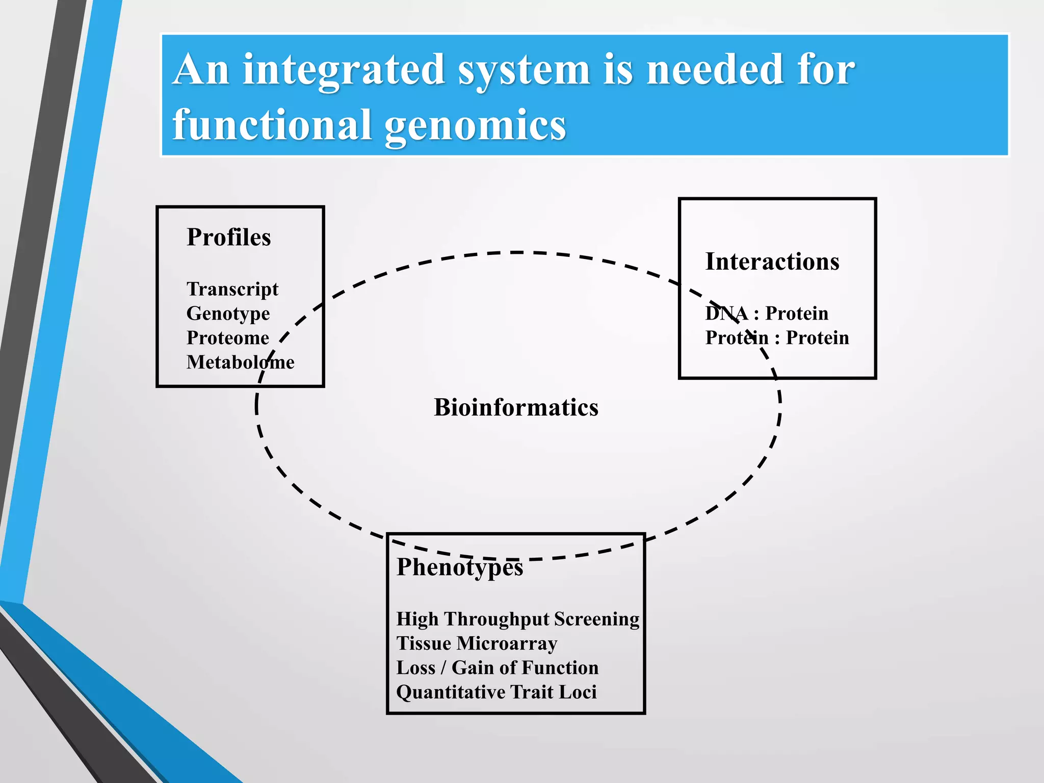 An integrated system is needed for
functional genomics
Profiles
Transcript
Genotype
Proteome
Metabolome
Interactions
DNA : Protein
Protein : Protein
Phenotypes
High Throughput Screening
Tissue Microarray
Loss / Gain of Function
Quantitative Trait Loci
Bioinformatics
 