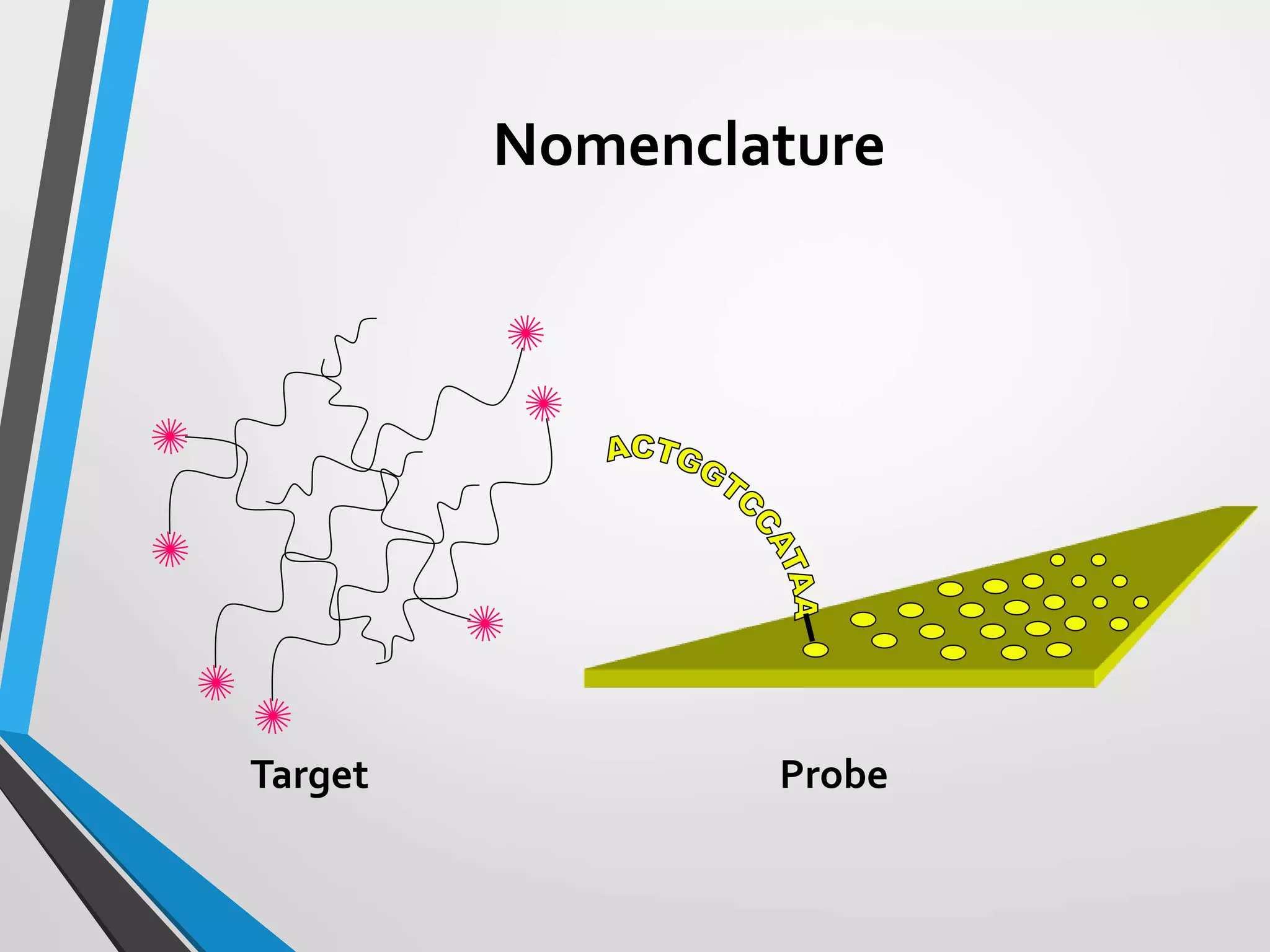 Nomenclature
Target Probe
 