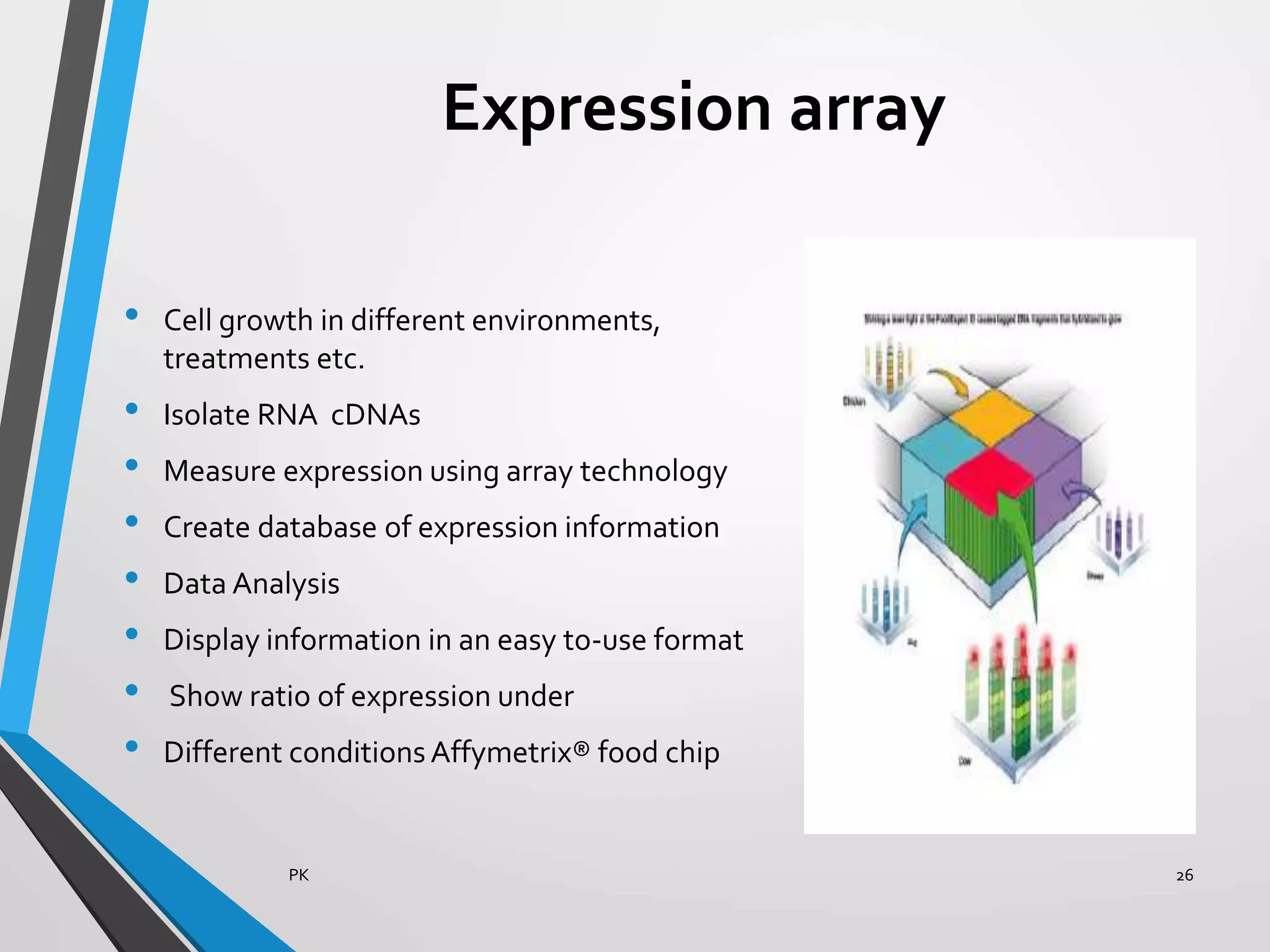 Expression array
• Cell growth in different environments,
treatments etc.
• Isolate RNA cDNAs
• Measure expression using array technology
• Create database of expression information
• Data Analysis
• Display information in an easy to-use format
• Show ratio of expression under
• Different conditions Affymetrix® food chip
PK 26
 
