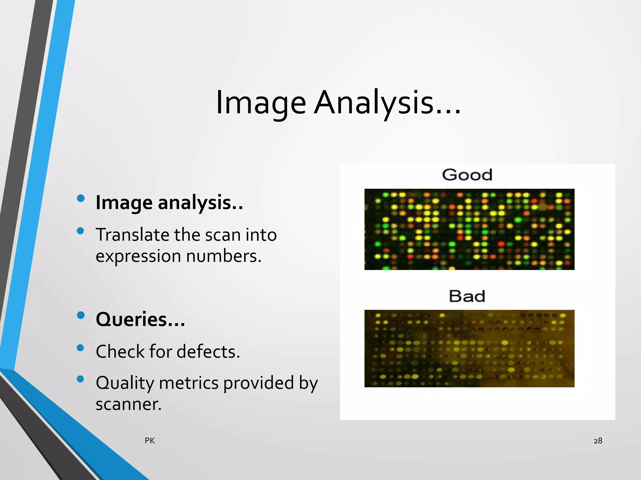 Image Analysis…
• Image analysis..
• Translate the scan into
expression numbers.
• Queries...
• Check for defects.
• Quality metrics provided by
scanner.
PK 28
 