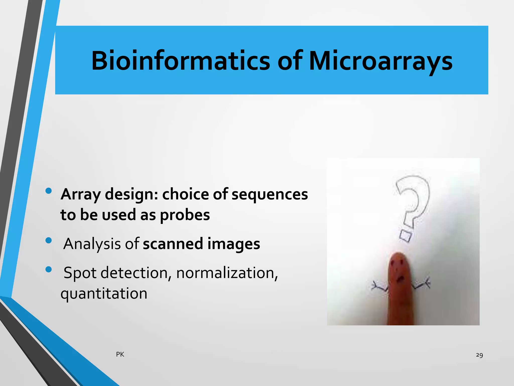 Bioinformatics of Microarrays
• Array design: choice of sequences
to be used as probes
• Analysis of scanned images
• Spot detection, normalization,
quantitation
PK 29
 