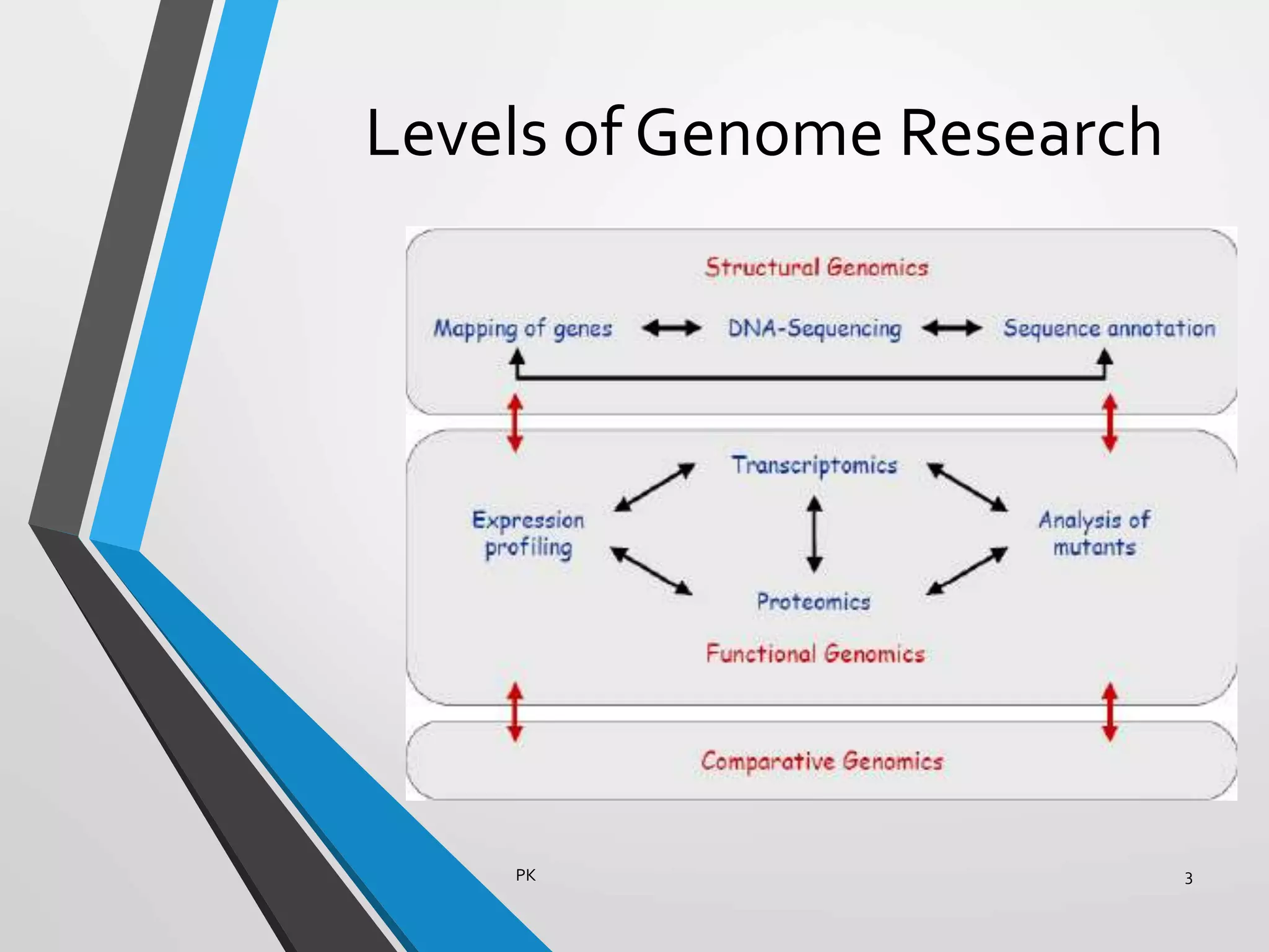 Levels of Genome Research
PK 3
 