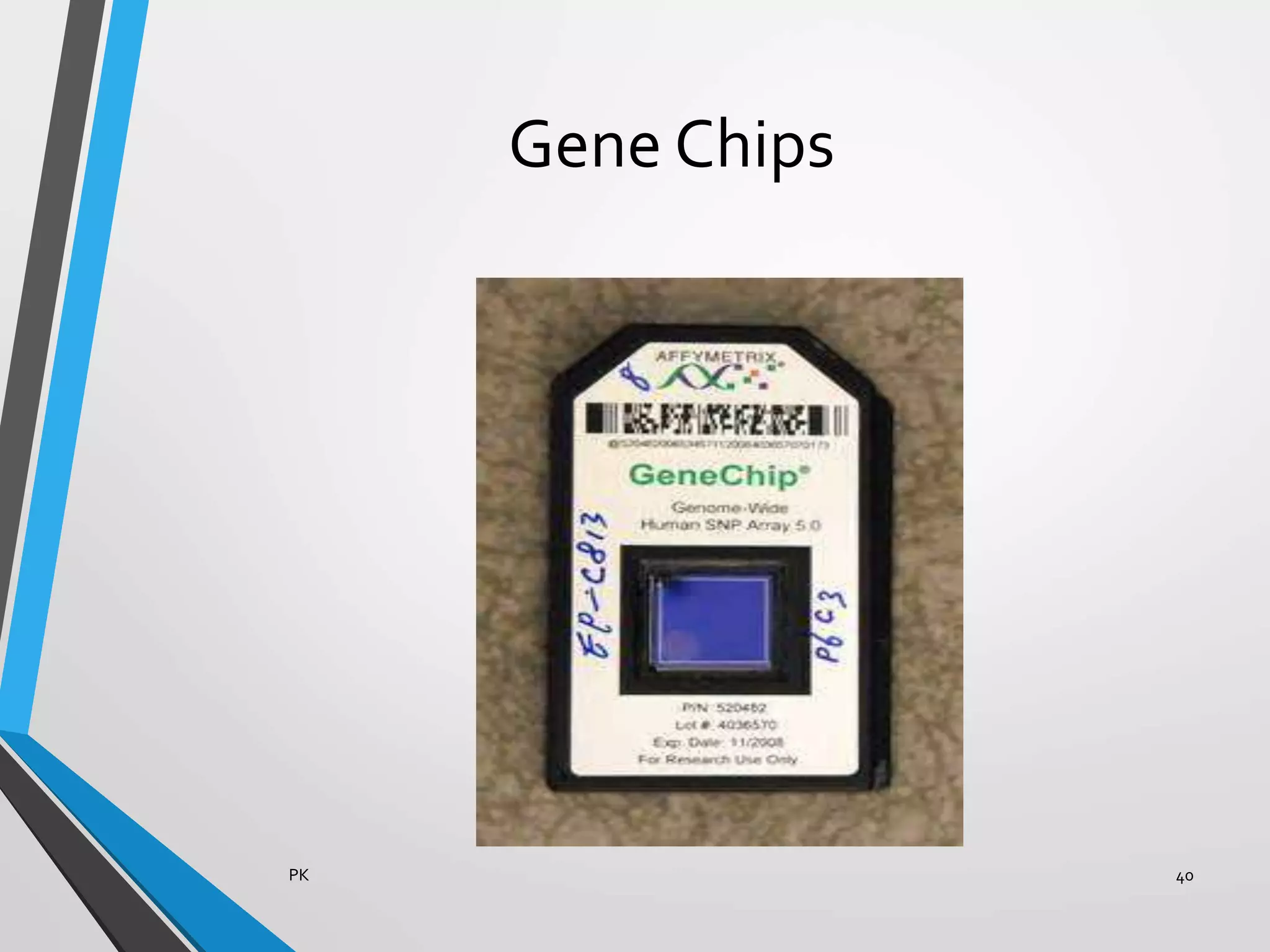 Gene Chips
PK 40
 