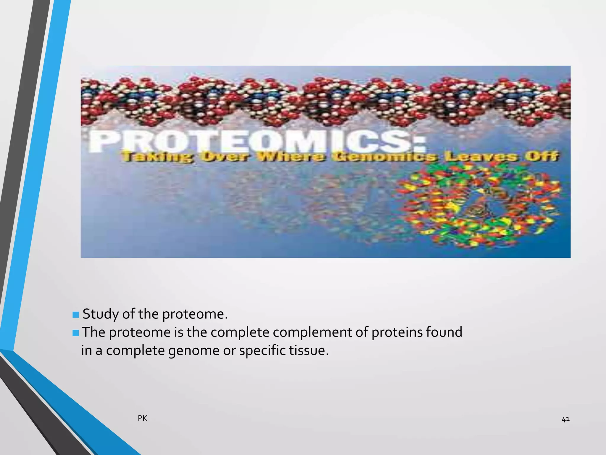  Study of the proteome.
 The proteome is the complete complement of proteins found
in a complete genome or specific tissue.
PK 41
 
