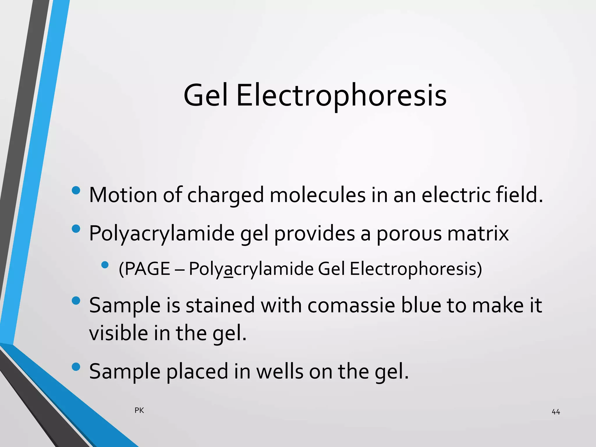 Gel Electrophoresis
• Motion of charged molecules in an electric field.
• Polyacrylamide gel provides a porous matrix
• (PAGE – Polyacrylamide Gel Electrophoresis)
• Sample is stained with comassie blue to make it
visible in the gel.
• Sample placed in wells on the gel.
PK 44
 