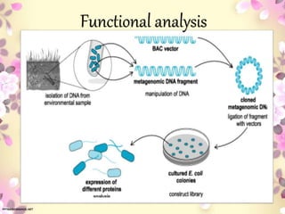 Functional analysis
 