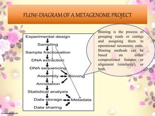 FLOW-DIAGRAM OF A METAGENOME PROJECT
Binning is the process of
grouping reads or contigs
and assigning them to
operational taxonomic units.
Binning methods can be
based on either
compositional features or
alignment (similarity), or
both.
 