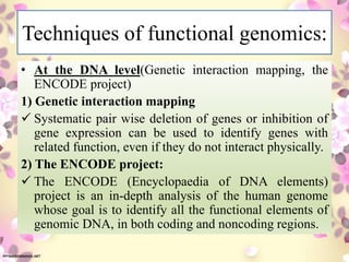 Techniques of functional genomics:
• At the DNA level(Genetic interaction mapping, the
ENCODE project)
1) Genetic interaction mapping
 Systematic pair wise deletion of genes or inhibition of
gene expression can be used to identify genes with
related function, even if they do not interact physically.
2) The ENCODE project:
 The ENCODE (Encyclopaedia of DNA elements)
project is an in-depth analysis of the human genome
whose goal is to identify all the functional elements of
genomic DNA, in both coding and noncoding regions.
 