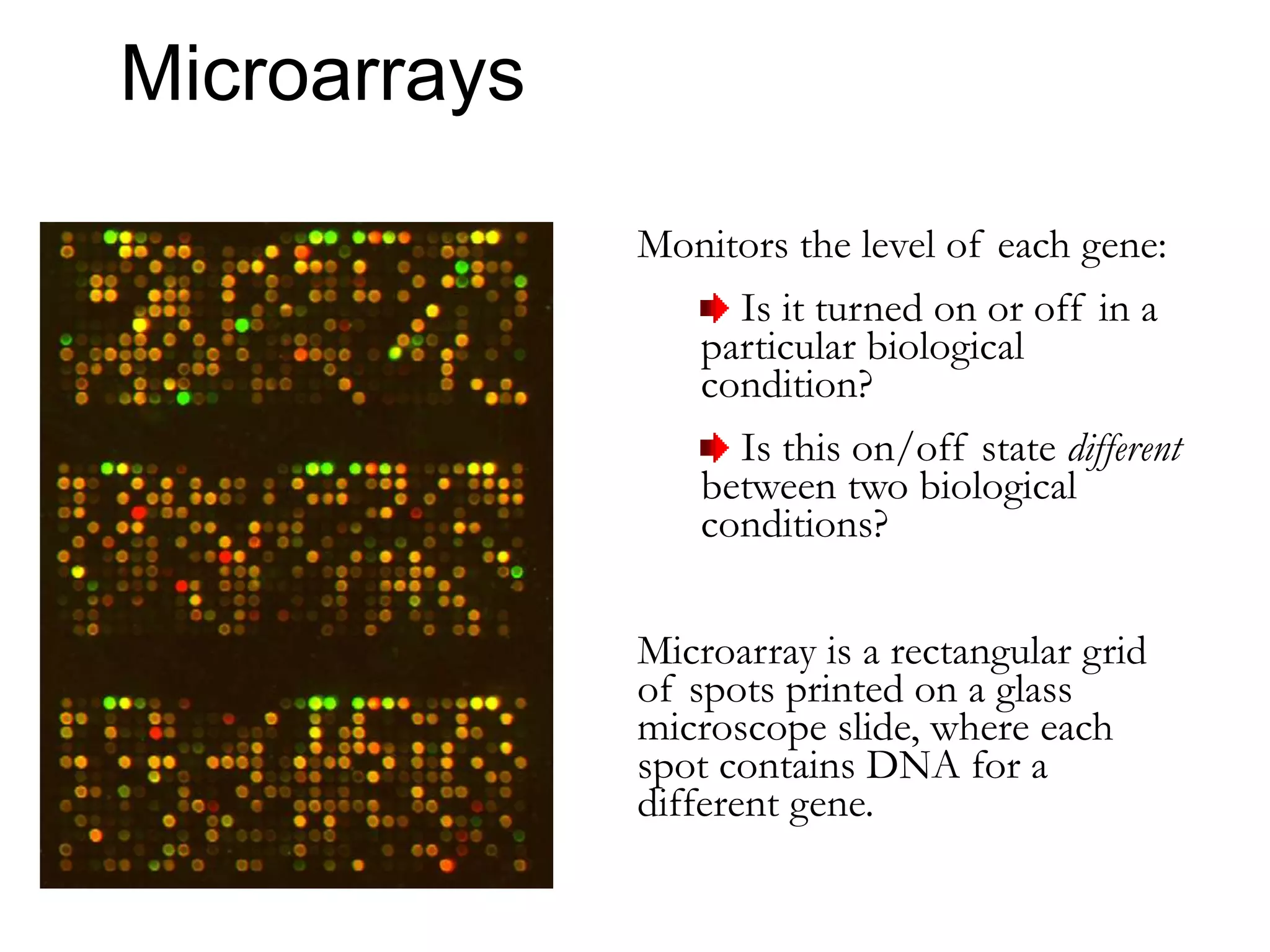 Functional genomics | PPT