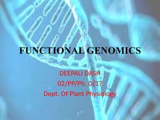 FUNCTIONAL GENOMICS
DEEPALI DASH
02/PP/Ph. D/17
Dept. Of Plant Physiology
 